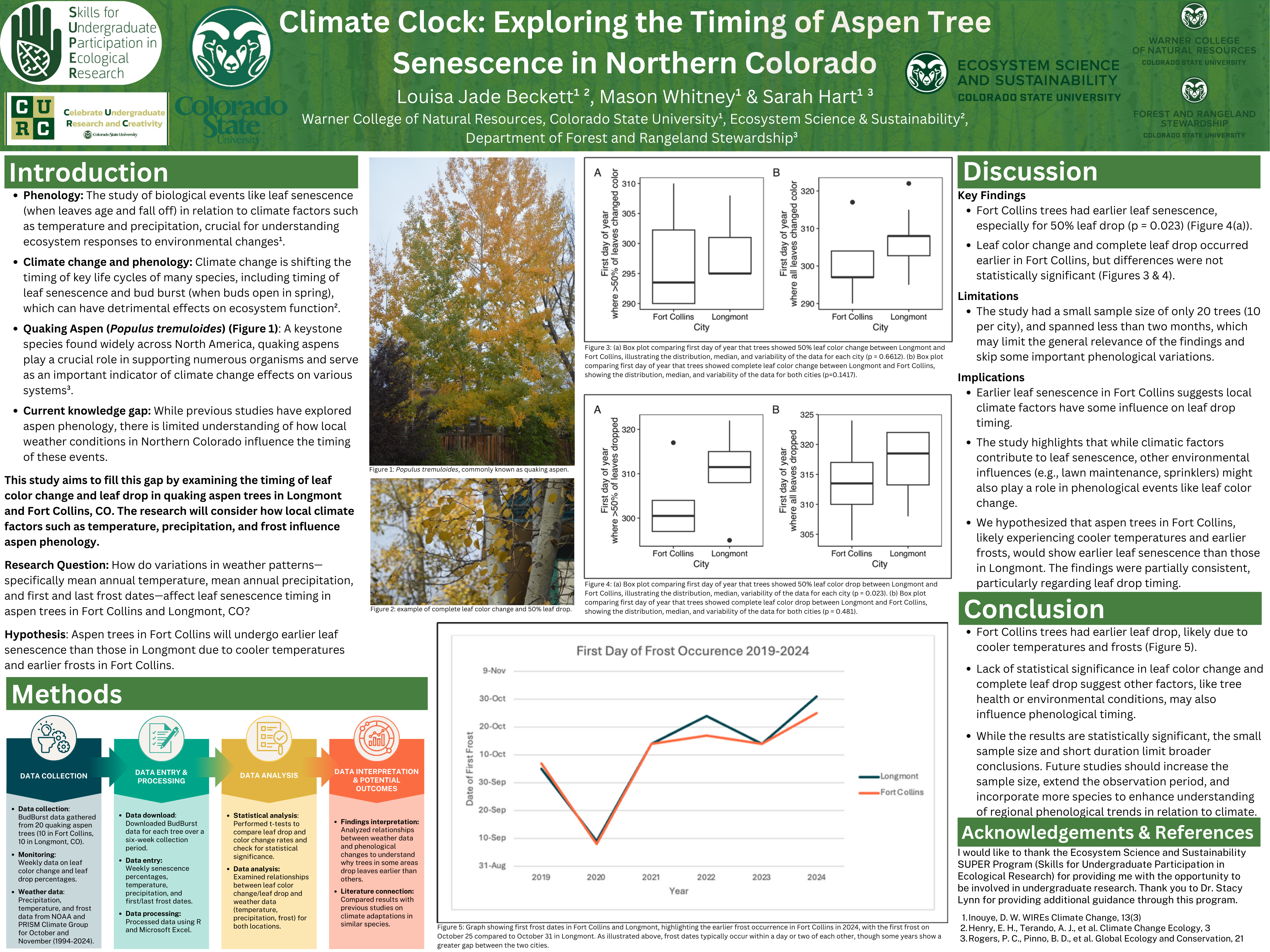 Climate Clock: Exploring the Timing of Aspen Tree Senescence in Northern Colorado