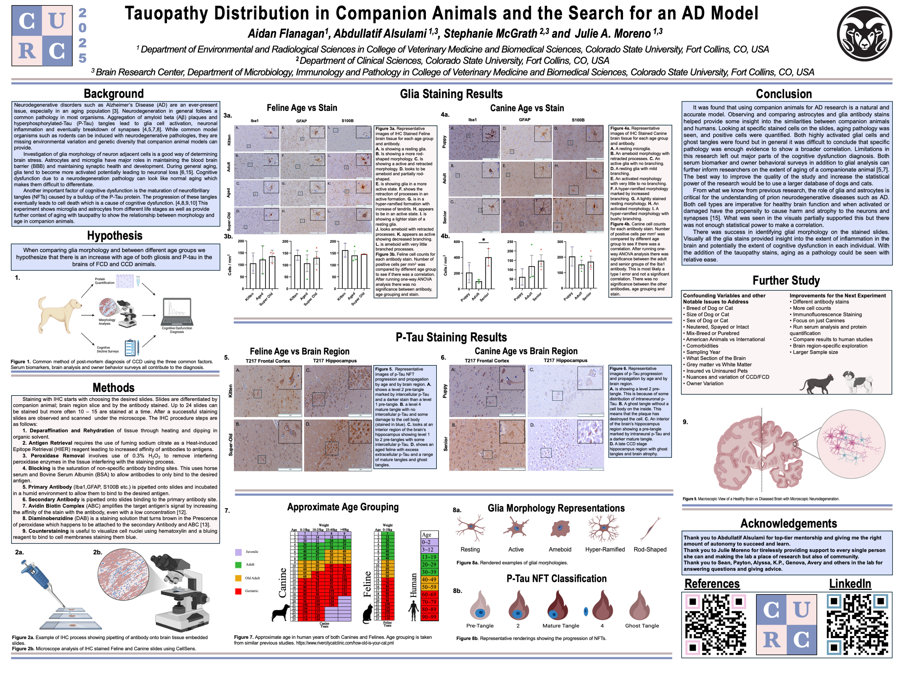 Tauopathy Distribution in Companion Animals and the Search for an AD Model