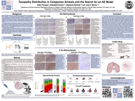 Tauopathy Distribution in Companion Animals and the Search for an AD Model