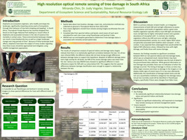 High resolution optical remote sensing of tree damage in South Africa