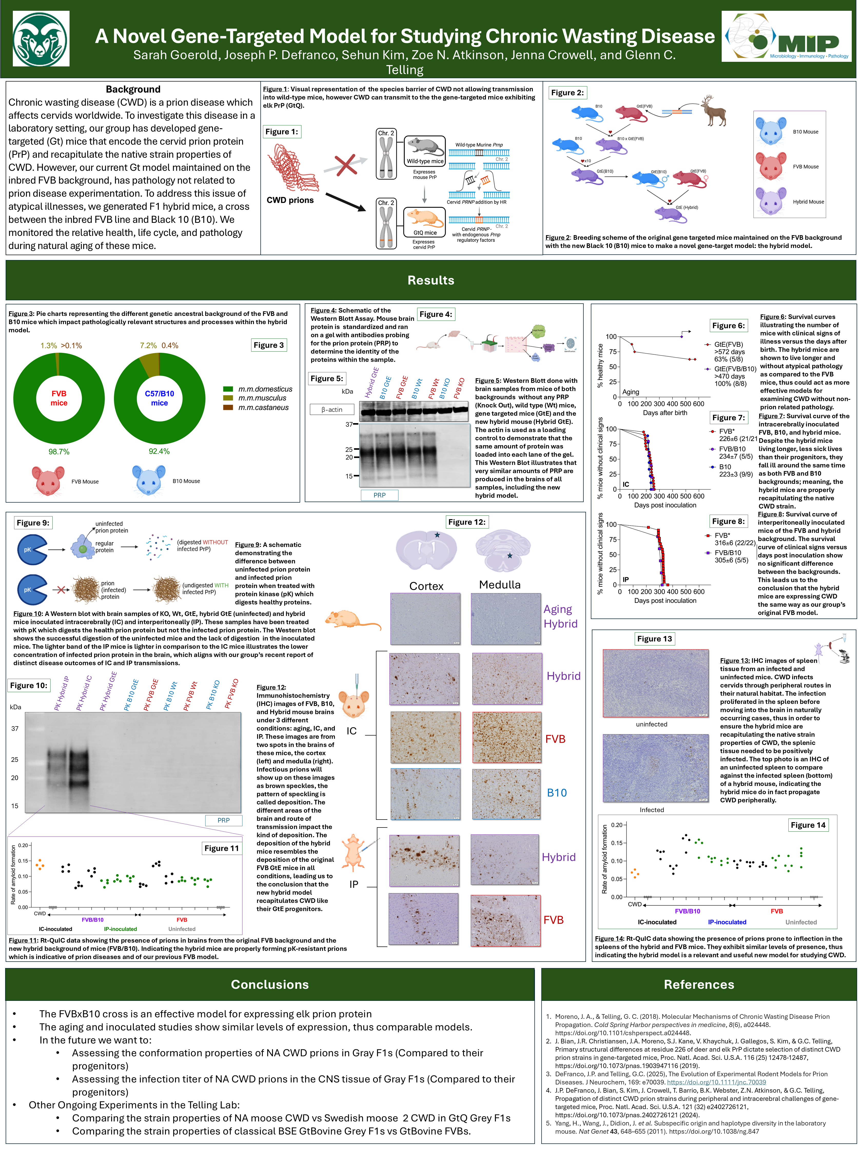 A Novel Gene-targeted Model for Studying Chronic Wasting Disease