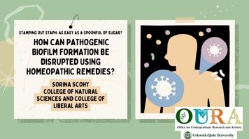 Stamping Out Staph: Is it as Easy as a Spoonful of Sugar? Testing the Effectiveness of Homeopathic Remedies Against Pathogenic Biofilm Formation
