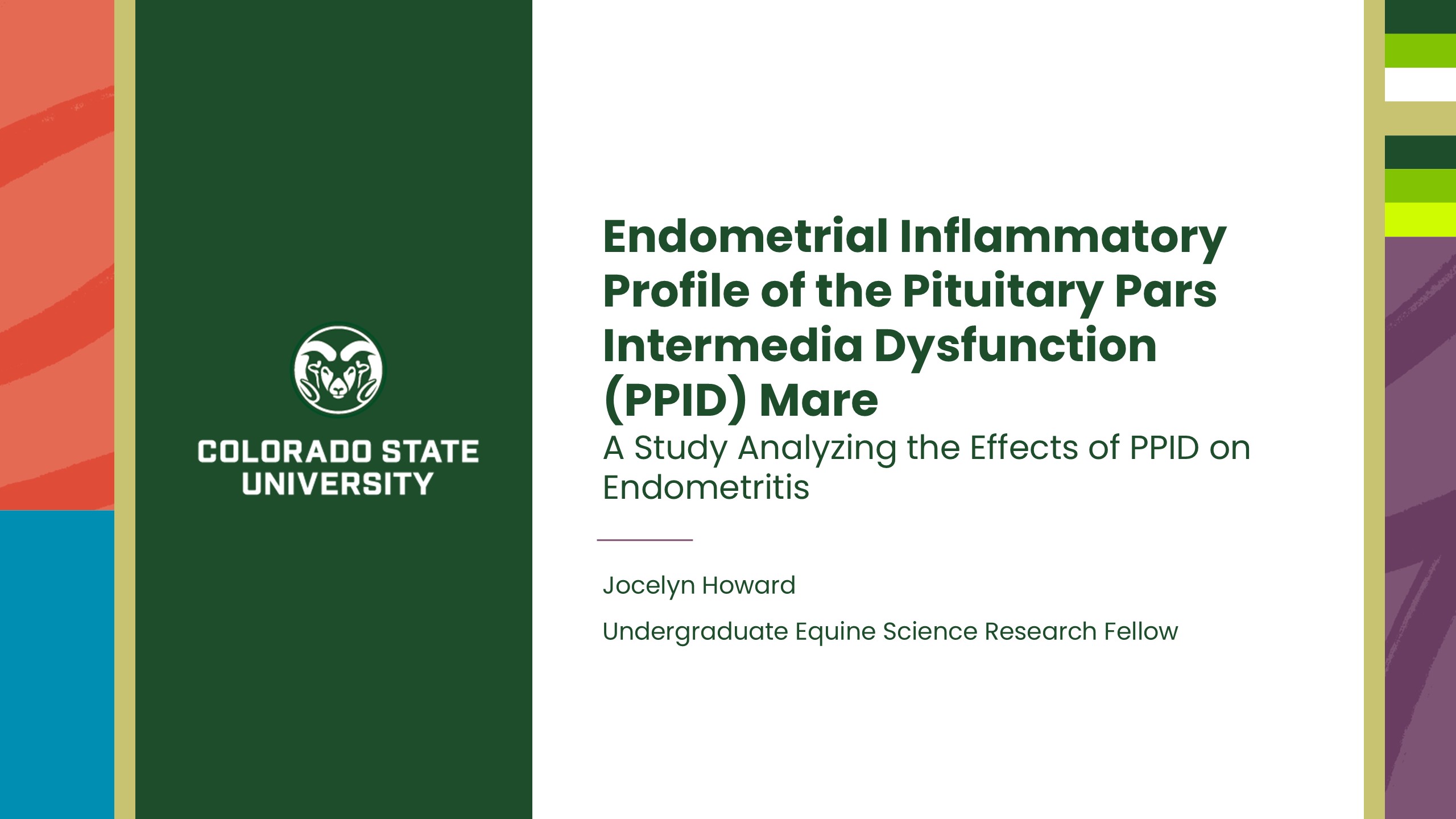 Endometrial inflammatory profile of the Pituitary pars intermedia dysfunction (PPID) mare