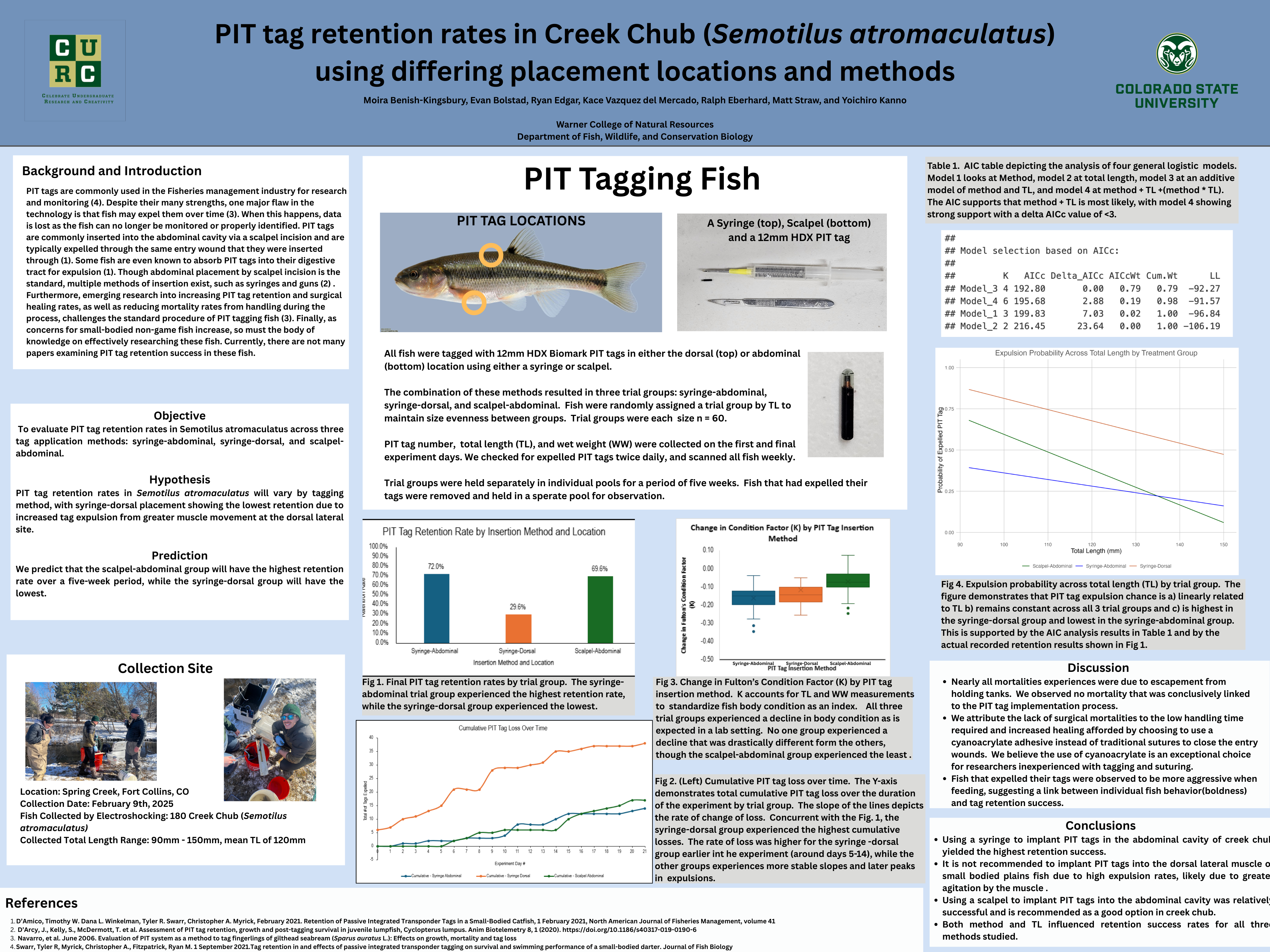 PIT Tag retention rates in Creek chub (Semotilus atromaculatus) using differing placement locations and methods 