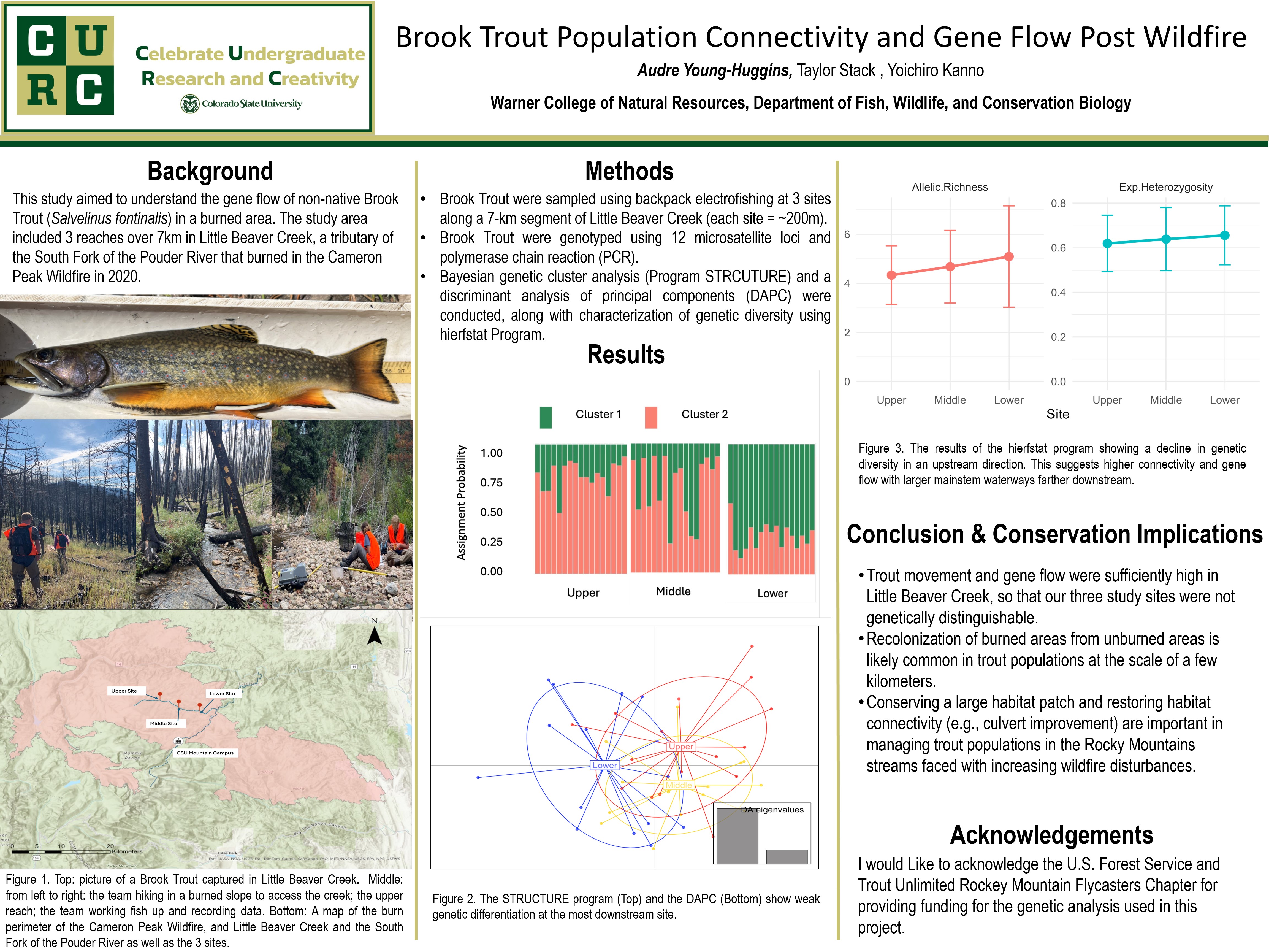 Brook Trout Population Connectivity and Gene Flow Post Wildfire