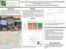 Brook Trout Population Connectivity and Gene Flow Post Wildfire