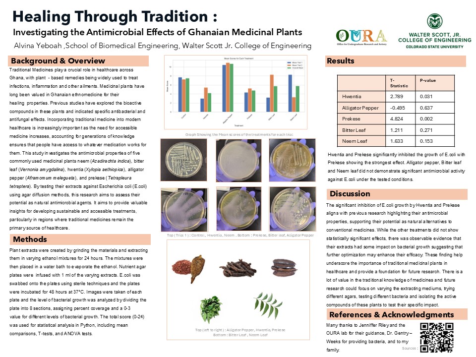 Healing Through Tradition : Investigating the Antimicrobial Effects of Ghanaian Medicinal Plants