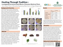 Healing Through Tradition : Investigating the Antimicrobial Effects of Ghanaian Medicinal Plants