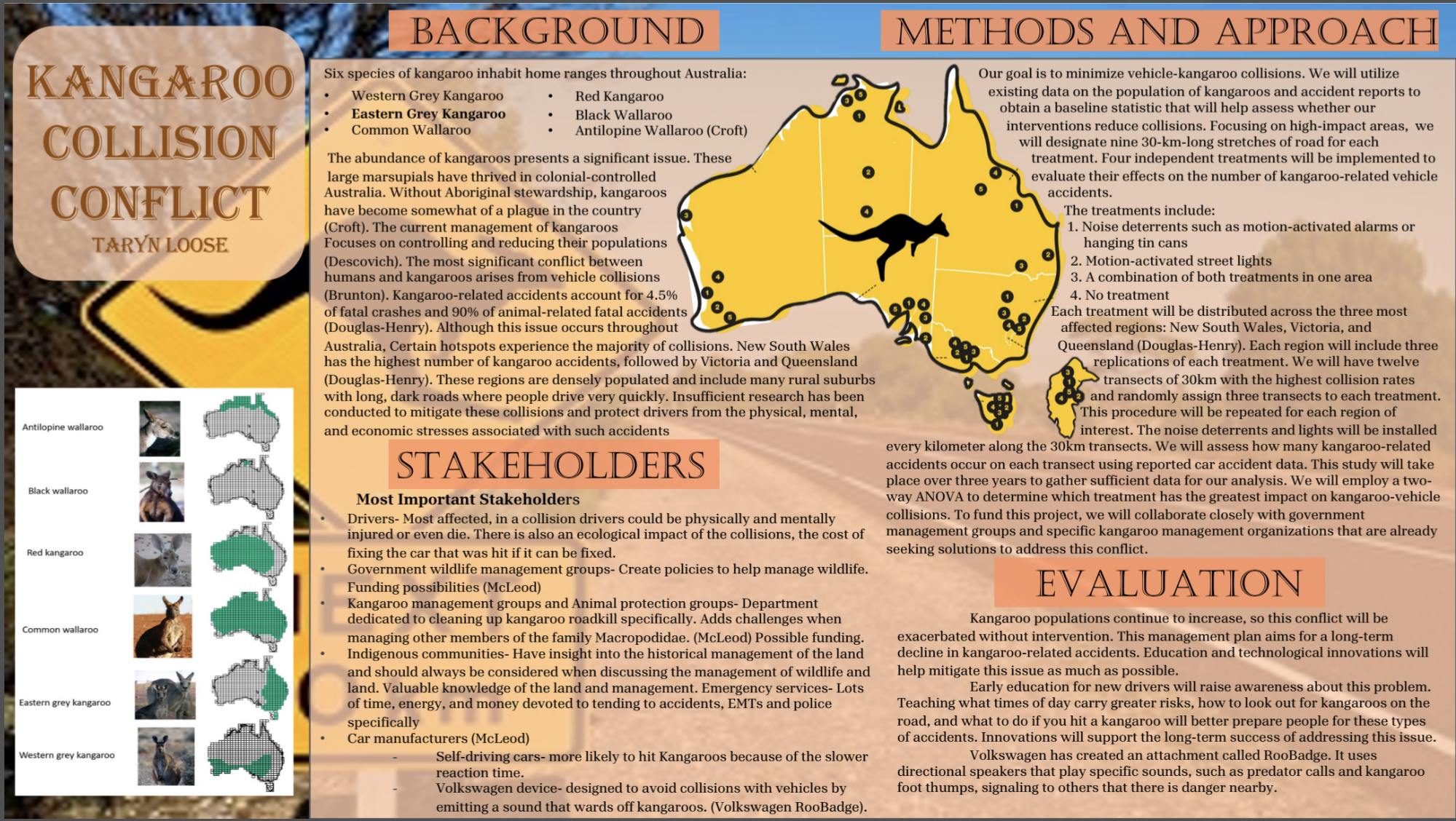 Kangaroo Collision Conflict