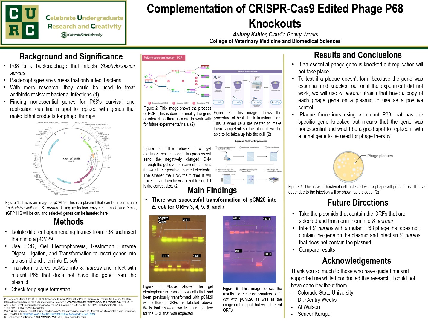 Complementation of CRISPR-Cas9 Edited Phage P68 Knockouts