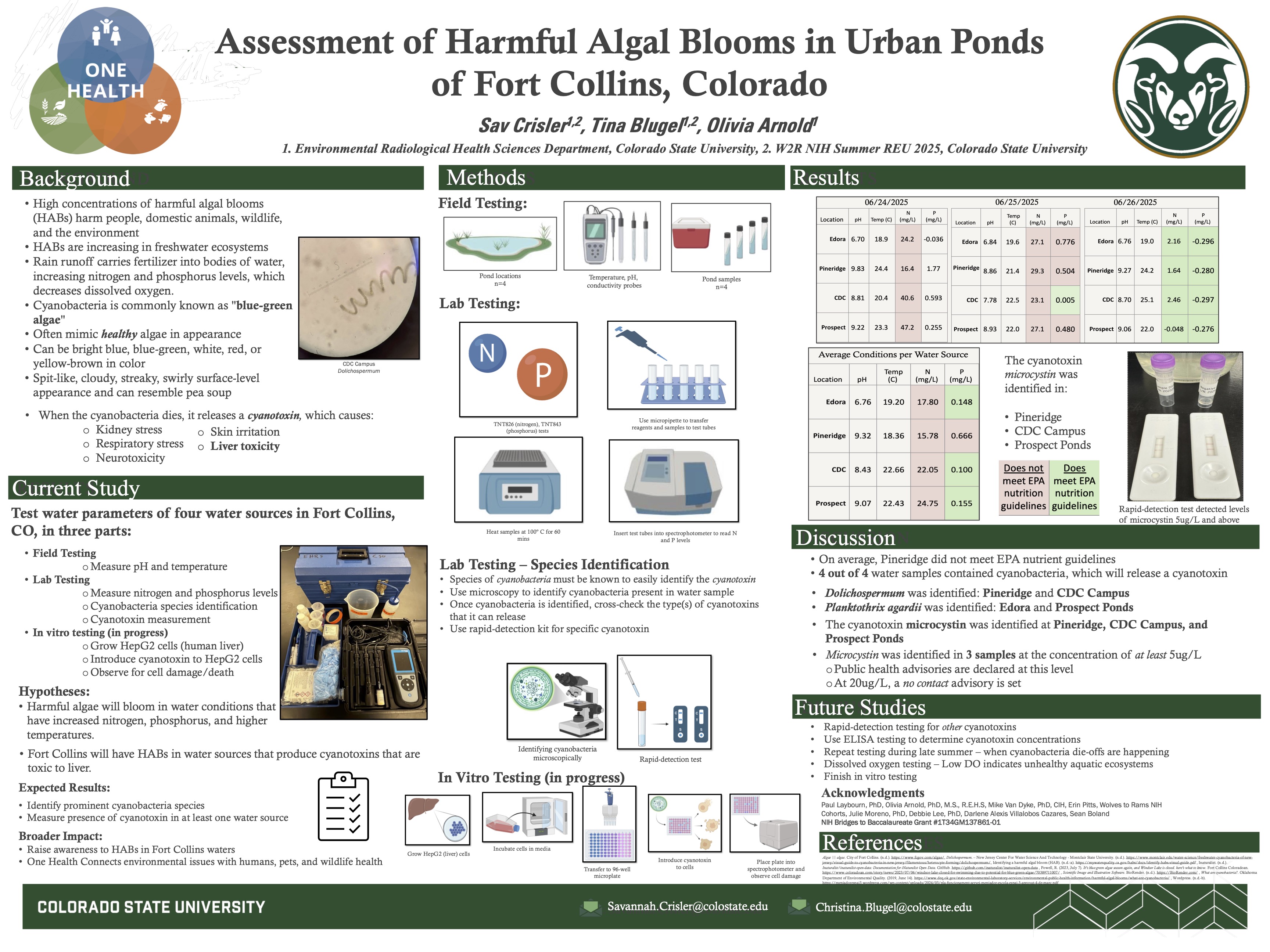 Blooming Threats: Assessment of Harmful Algal Blooms in Urban Ponds of Fort Collins, Colorado