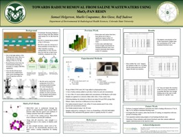 Towards radium removal from saline wastewaters using MnO2-PAN resin 