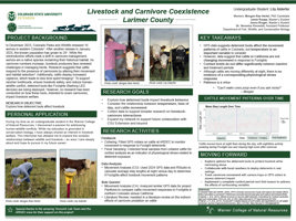 Livestock and Carnivore Coexistence in Larimer County