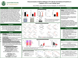 Characterization of OGG1-Deficient V79 Cells Reveals Enhanced Sensitivity to Cisplatin a DNA Cross-Linking Agent