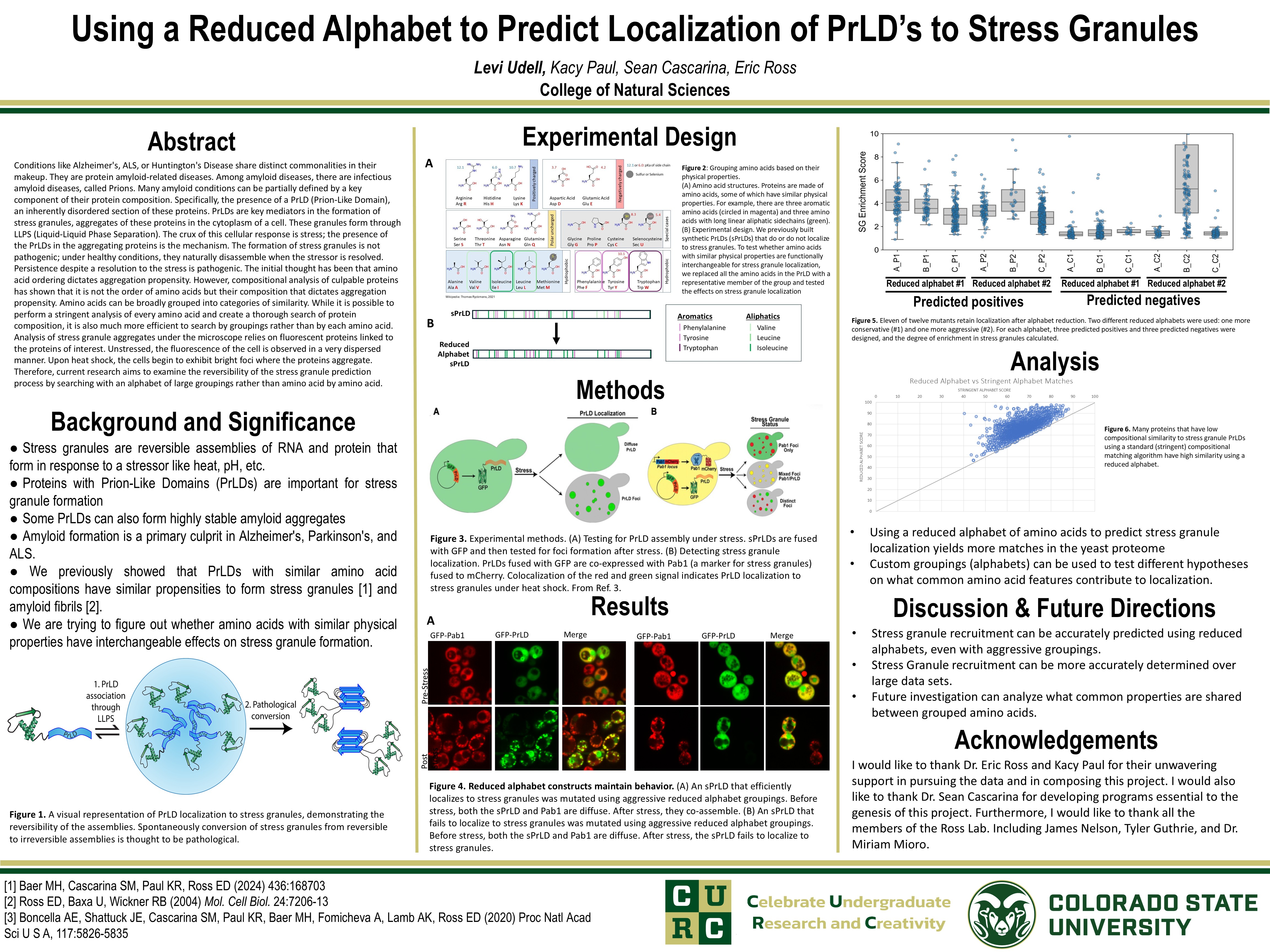 Using a Reduced Alphabet to Predict Localization of PrLD’s to Stress Granules