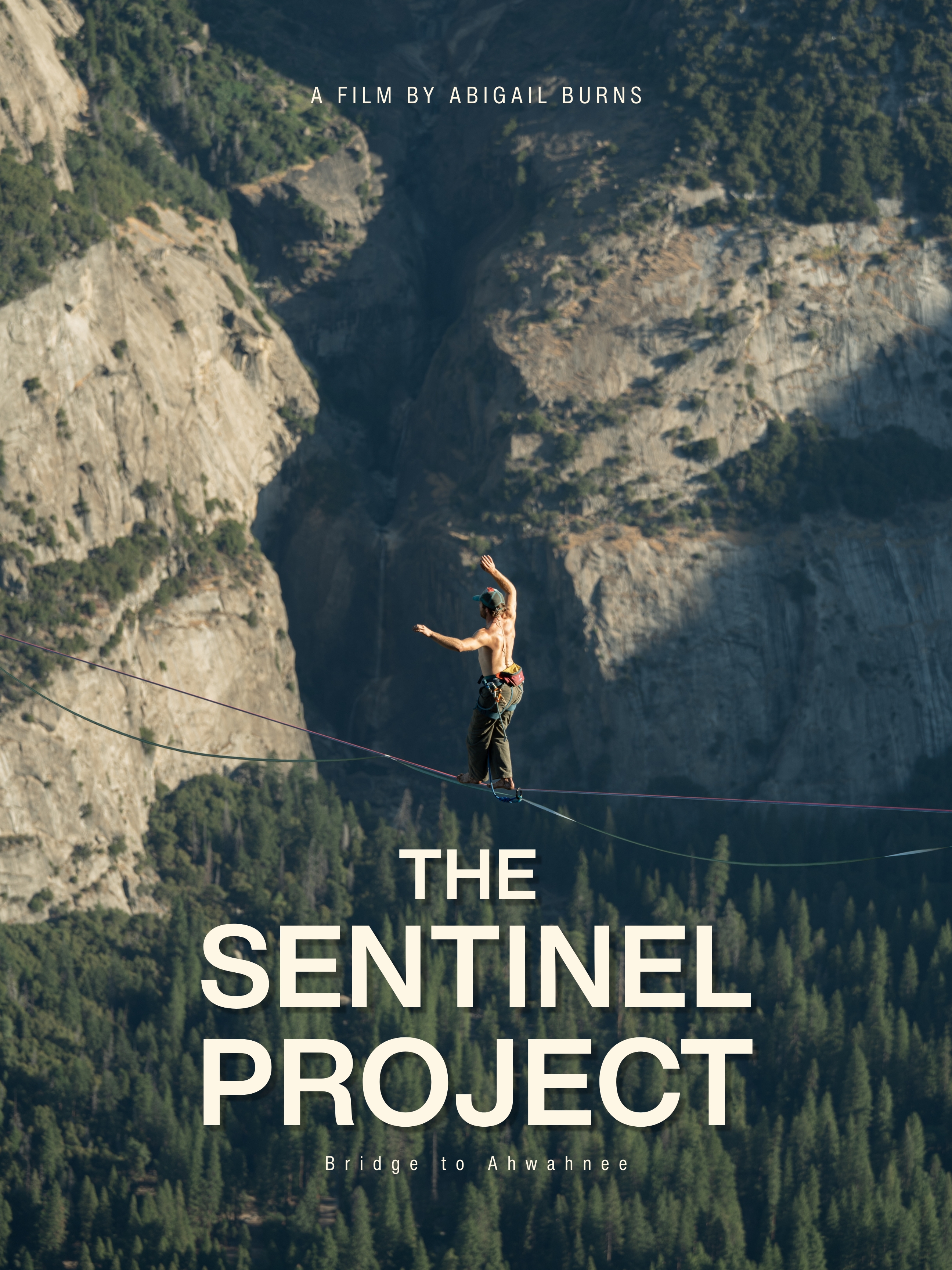 The Sentinel Project