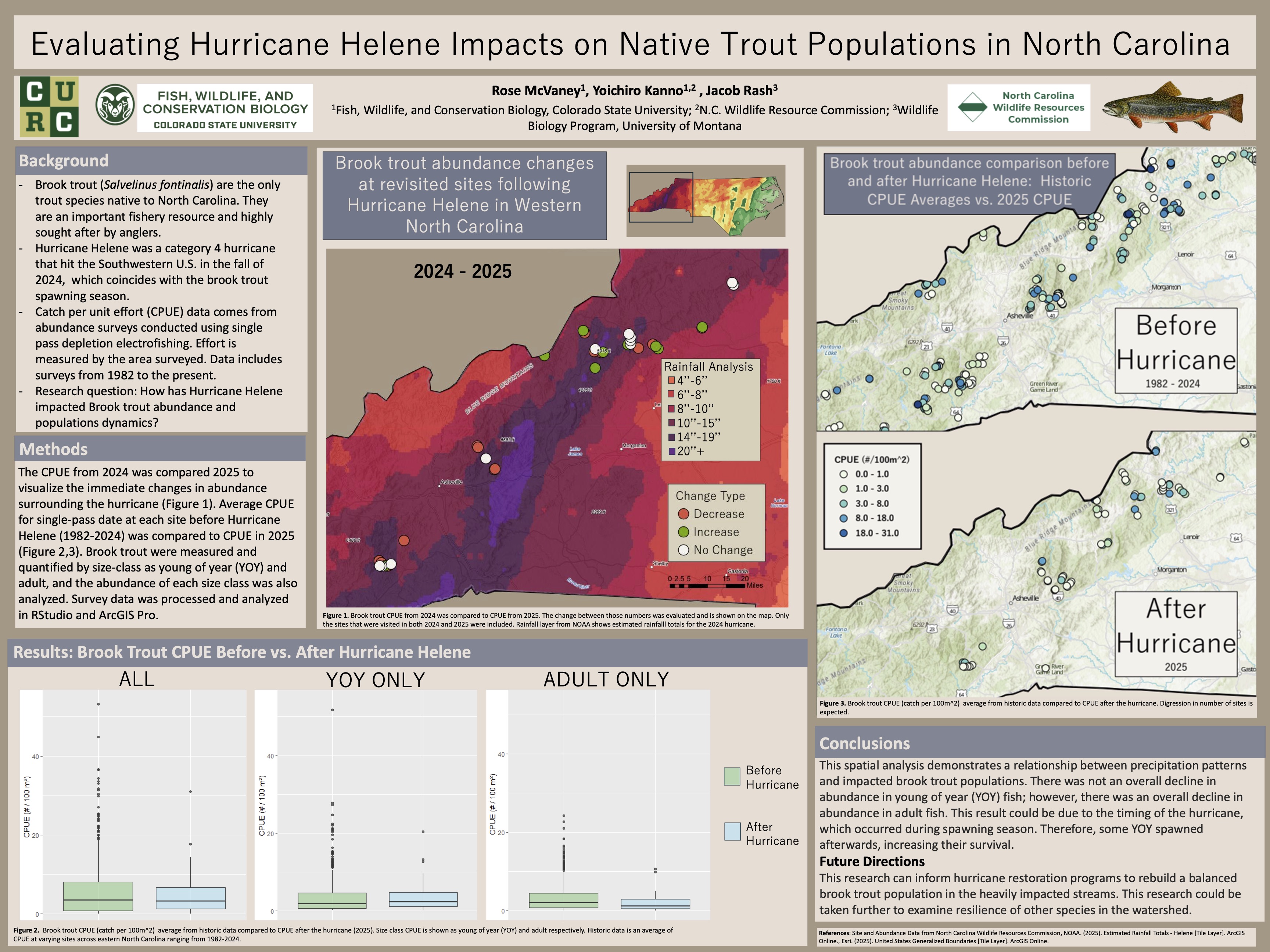 Evaluating Hurricane Helene impacts on native trout populations in North Carolina