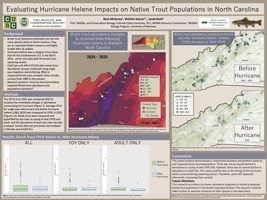 Evaluating Hurricane Helene impacts on native trout populations in North Carolina