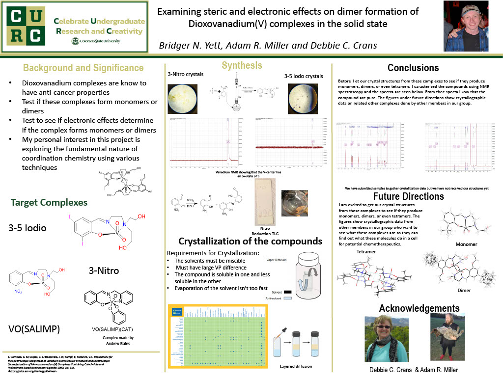 Title: Examining steric and electronic effects on dimer formation of dioxovanadium(V) complexes in the solid state