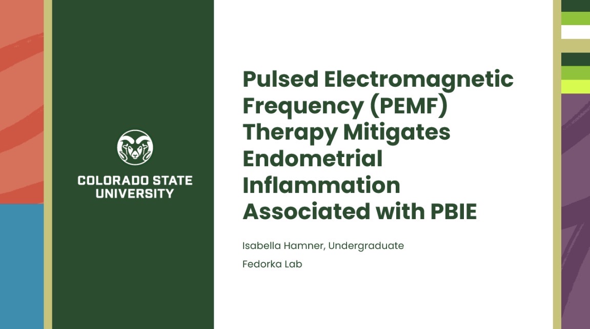 PEMF Therapy Mitigates Endometrial Inflammation Associated with Persistent Breeding-Induced Endometritis in Horses