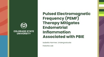 PEMF Therapy Mitigates Endometrial Inflammation Associated with Persistent Breeding-Induced Endometritis in Horses