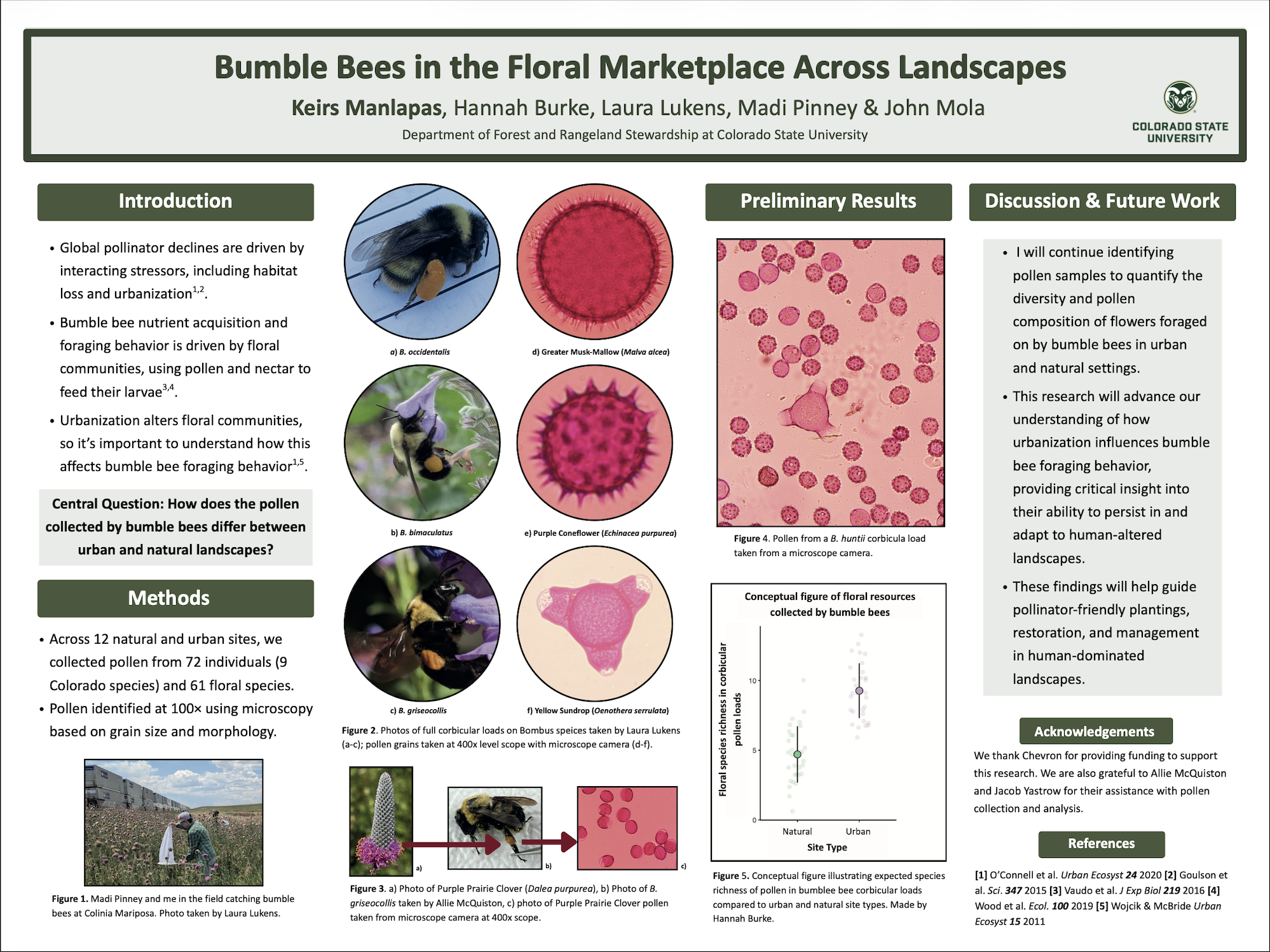 Bumble Bees in the Floral Marketplace Across Landscapes