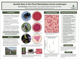 Bumble Bees in the Floral Marketplace Across Landscapes