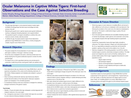 Ocular Melanoma in Captive White Tigers: First-hand Observations and the Case Against Selective Breeding