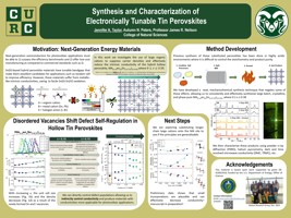 Synthesis and Characterization of Electronically Tunable Tin Perovskites