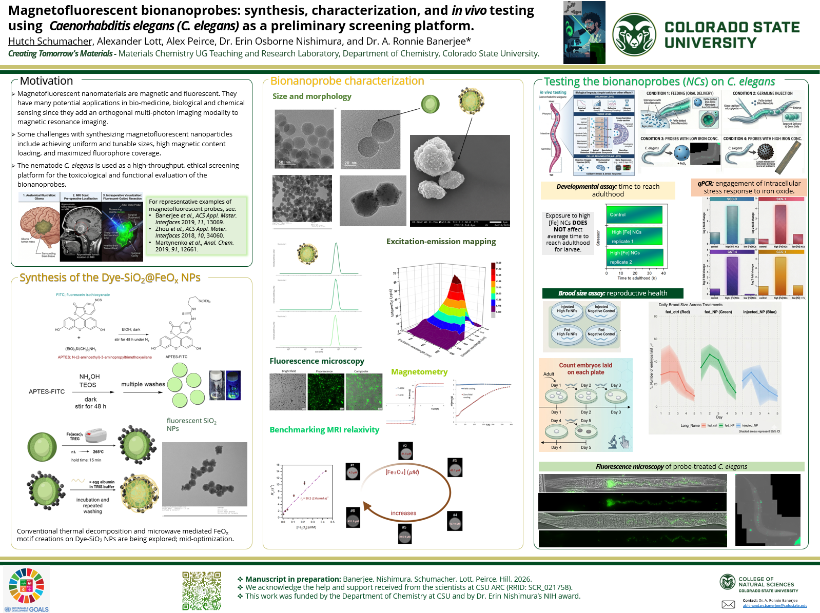 The case of the tiny glowing magnets: Fe3O4@SiO2-FiTC magnetofluorescent nanoprobes for combined magnetic resonance imaging and fluorescence.