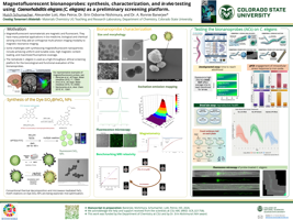 The case of the tiny glowing magnets: Fe3O4@SiO2-FiTC magnetofluorescent nanoprobes for combined magnetic resonance imaging and fluorescence.