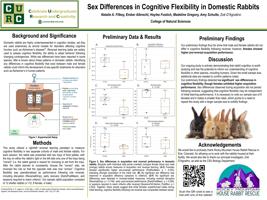 Sex Differences in Cognitive Flexibility in Domestic Rabbits
