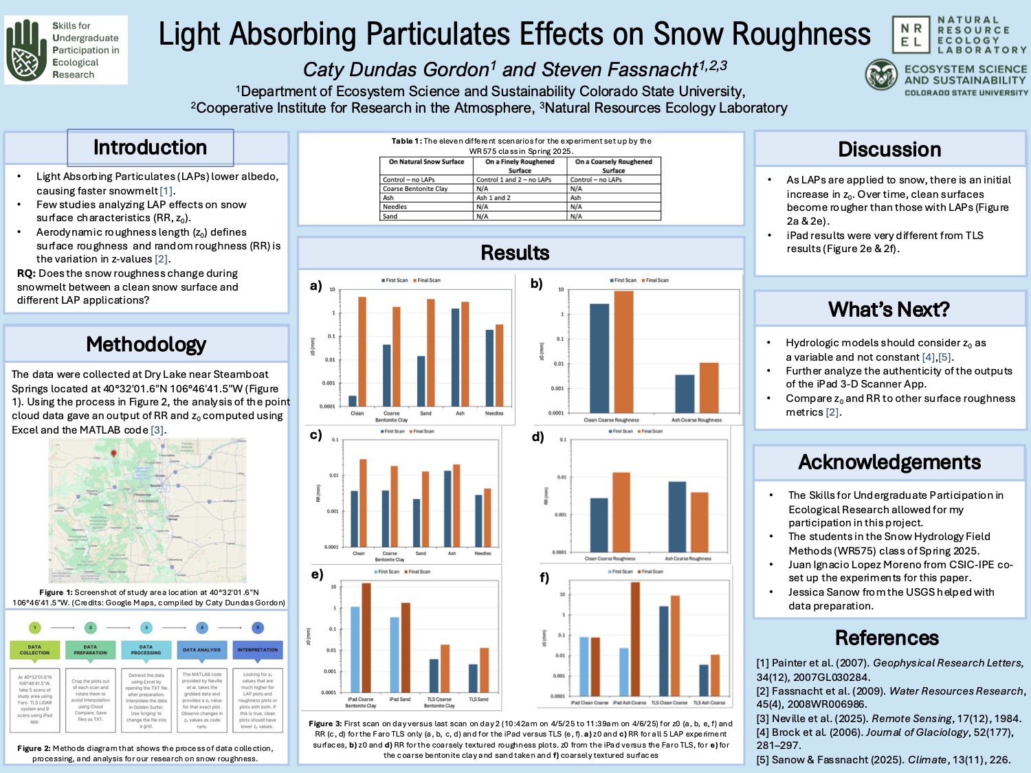 Light Absorbing Particulates Effects on Snow Roughness