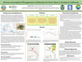 Sahara Mustard Management at Edwards Air Force Base in Southern California