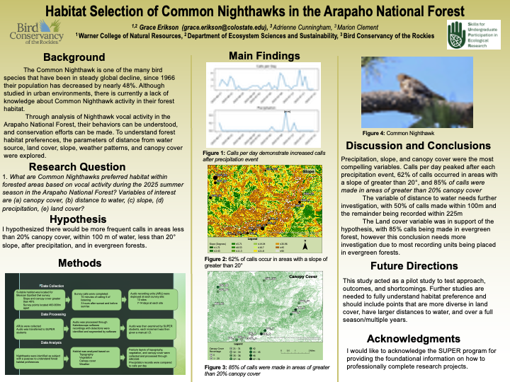Habitat Selection of Common Nighthawks in the Arapahoe National Forest 