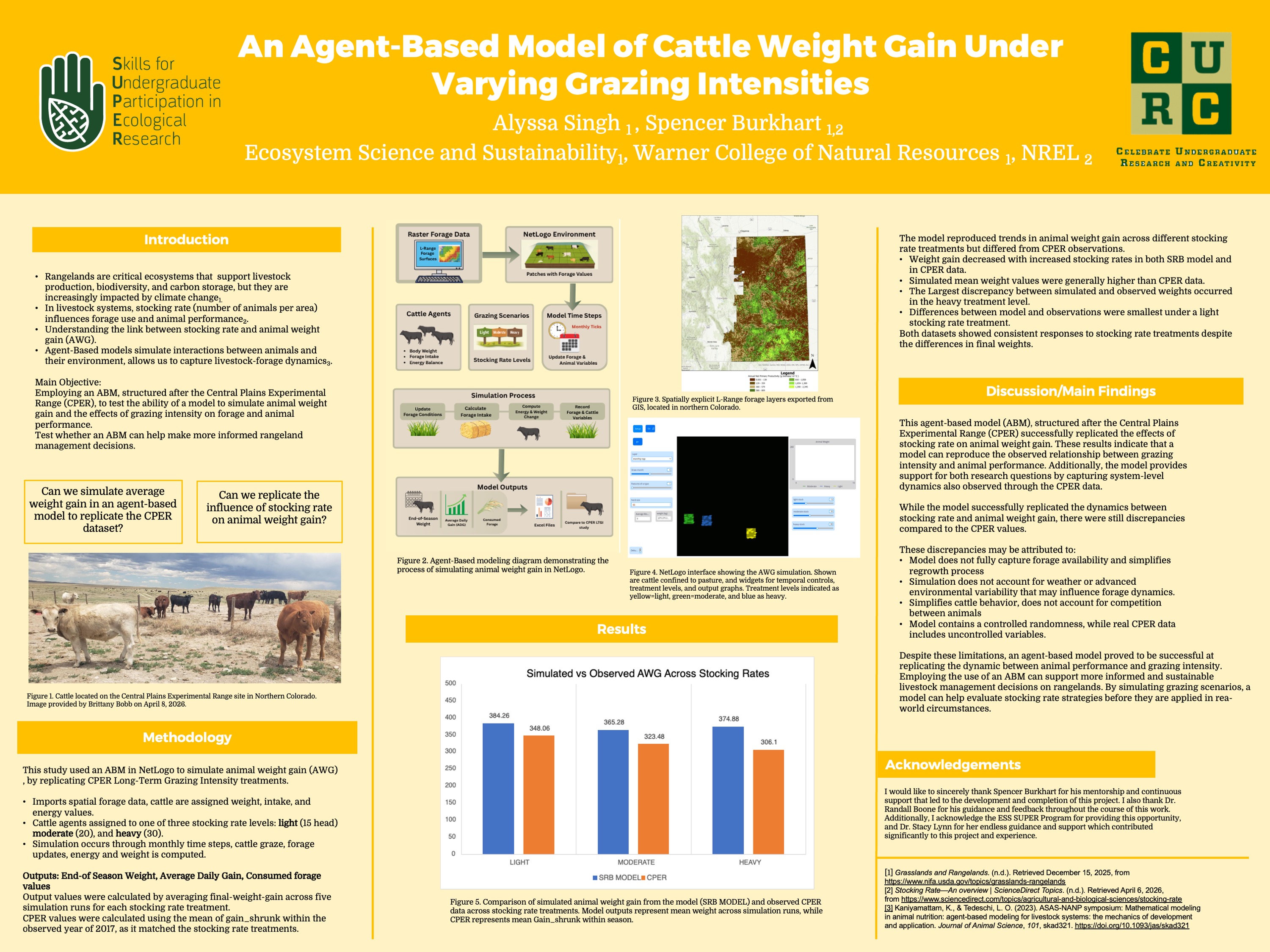 An Agent-Based Model of Cattle Weight Gain Under Varying Grazing Intensities 