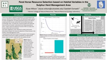 Feral Horse Resource Selection in Utah, Sulphur Herd Management Area 