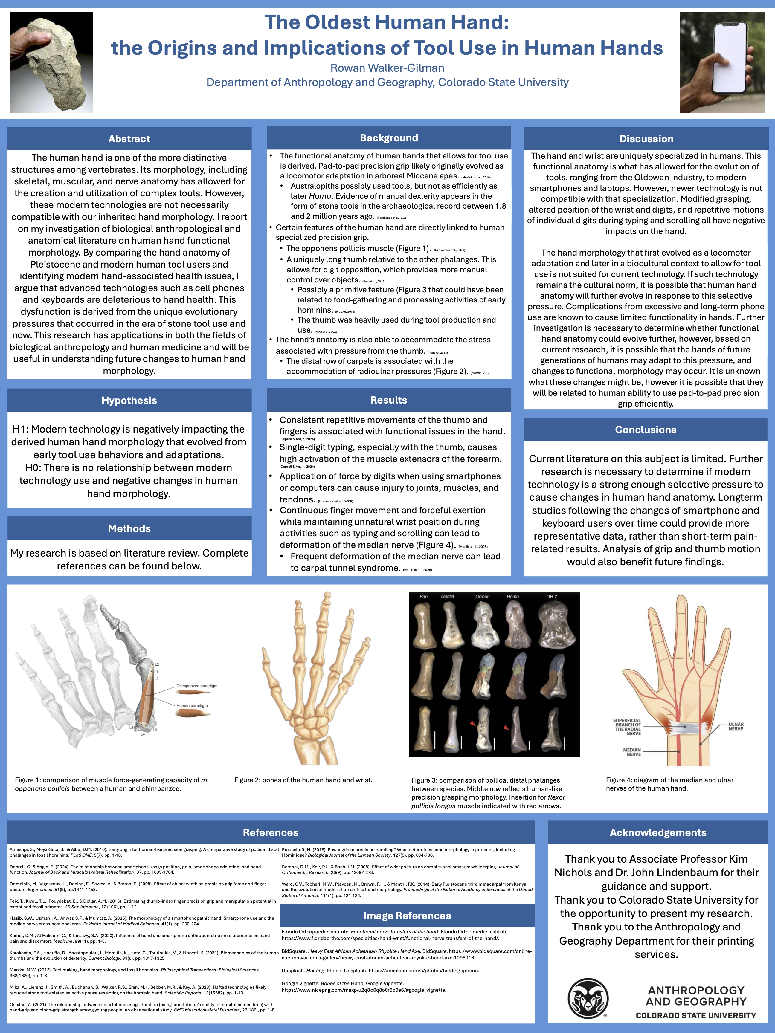 The Oldest Human Hand: The Origins and Implications of Tool Use in Human Hands