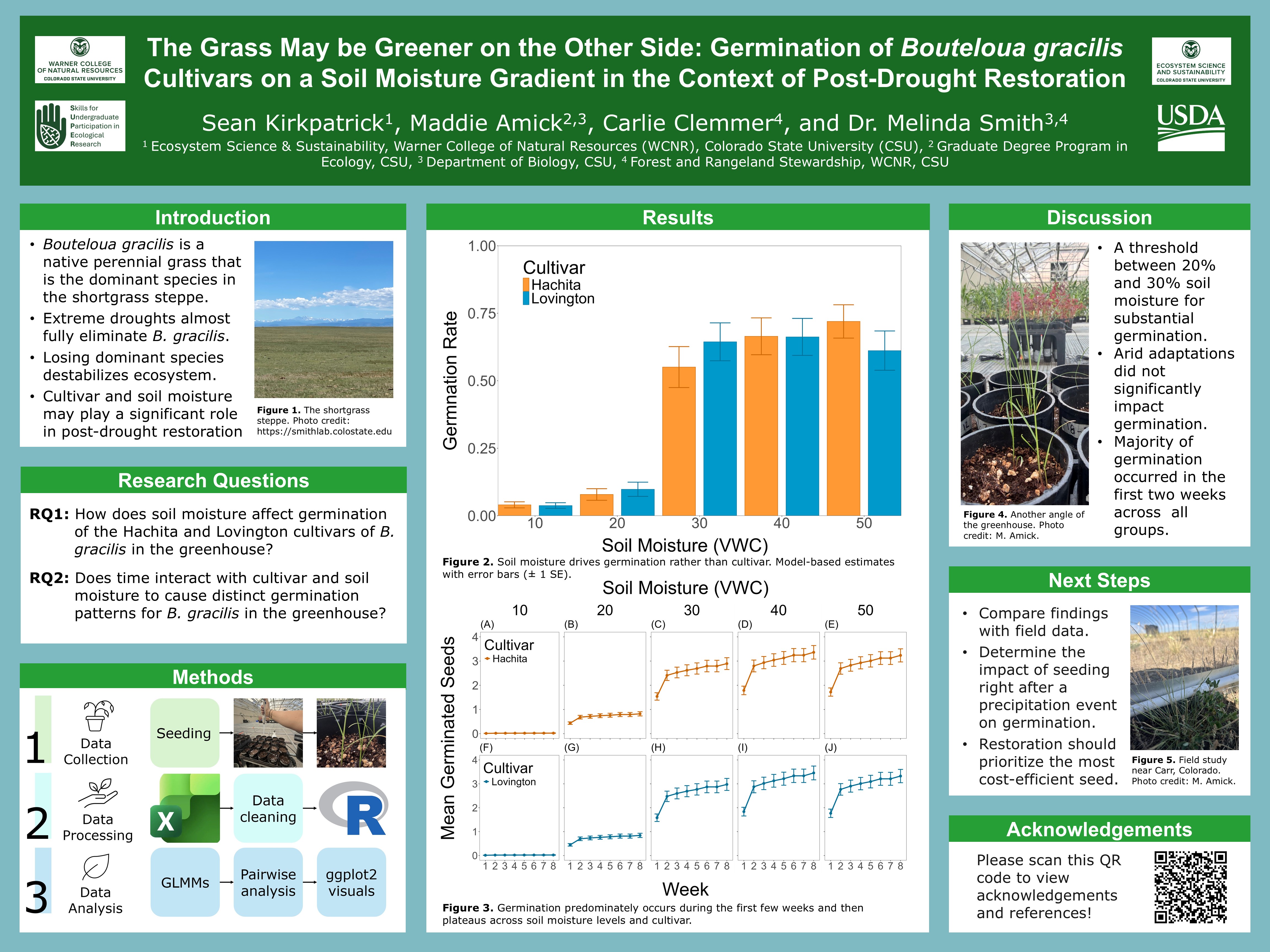 The grass may be greener on the other side: Germination of Bouteloua gracilis cultivars on a soil moisture gradient in the context of post-drought restoration