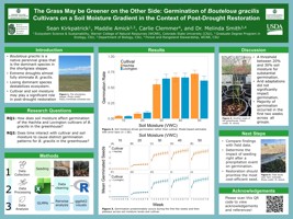 The grass may be greener on the other side: Germination of Bouteloua gracilis cultivars on a soil moisture gradient in the context of post-drought restoration