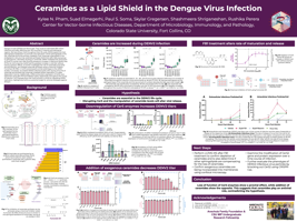 Ceramides as a lipid shield in dengue virus infection
