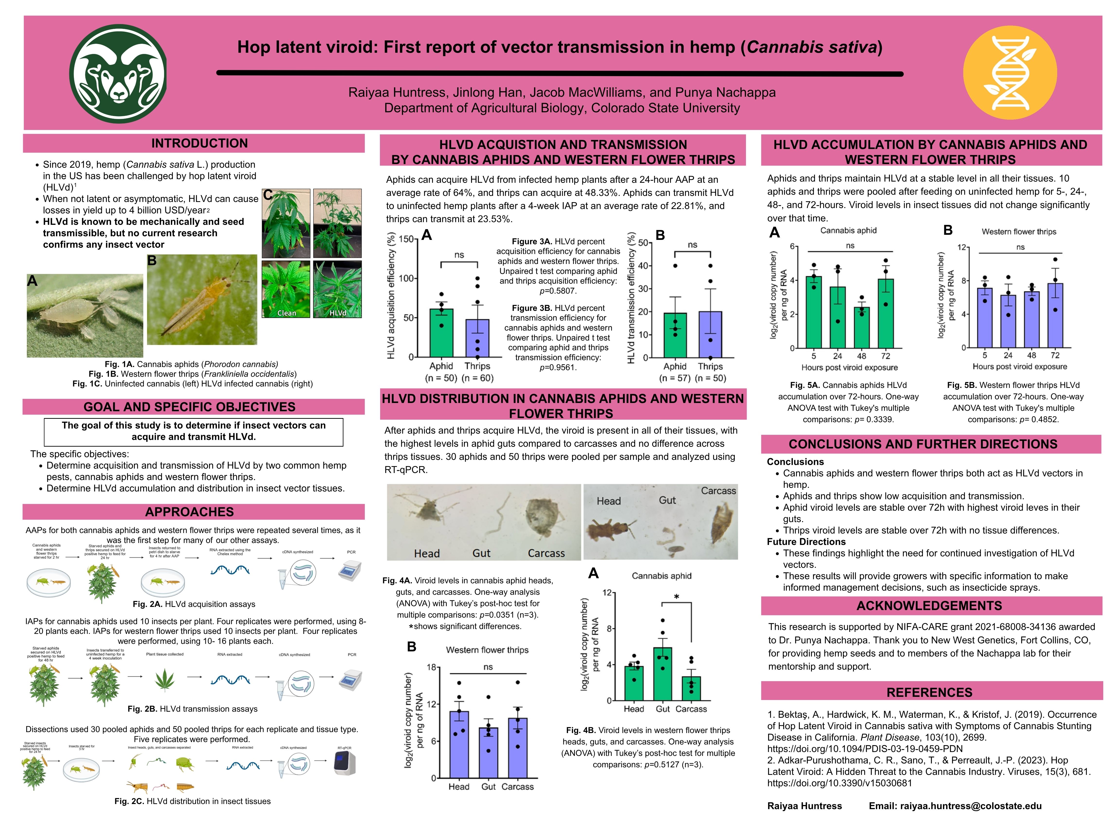 Hop latent viroid: First report of vector transmission in hemp (Cannabis sativa)