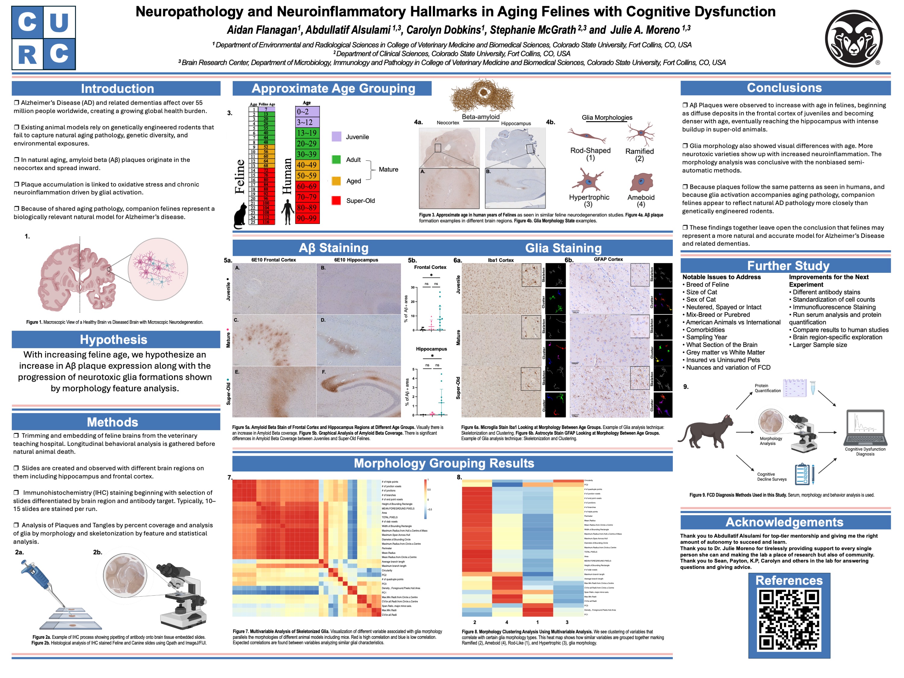 Neuropathology and Neurotoxicological Hallmarks in Aging Felines with Cognitive Dysfunction