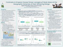 Variation in Emperor Goose (Anser canagicus) Body Mass at the Geographic Extremes of their Wintering Range