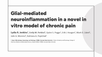 Glial-mediated neuroinflammation in a novel in vitro model of chronic pain 
