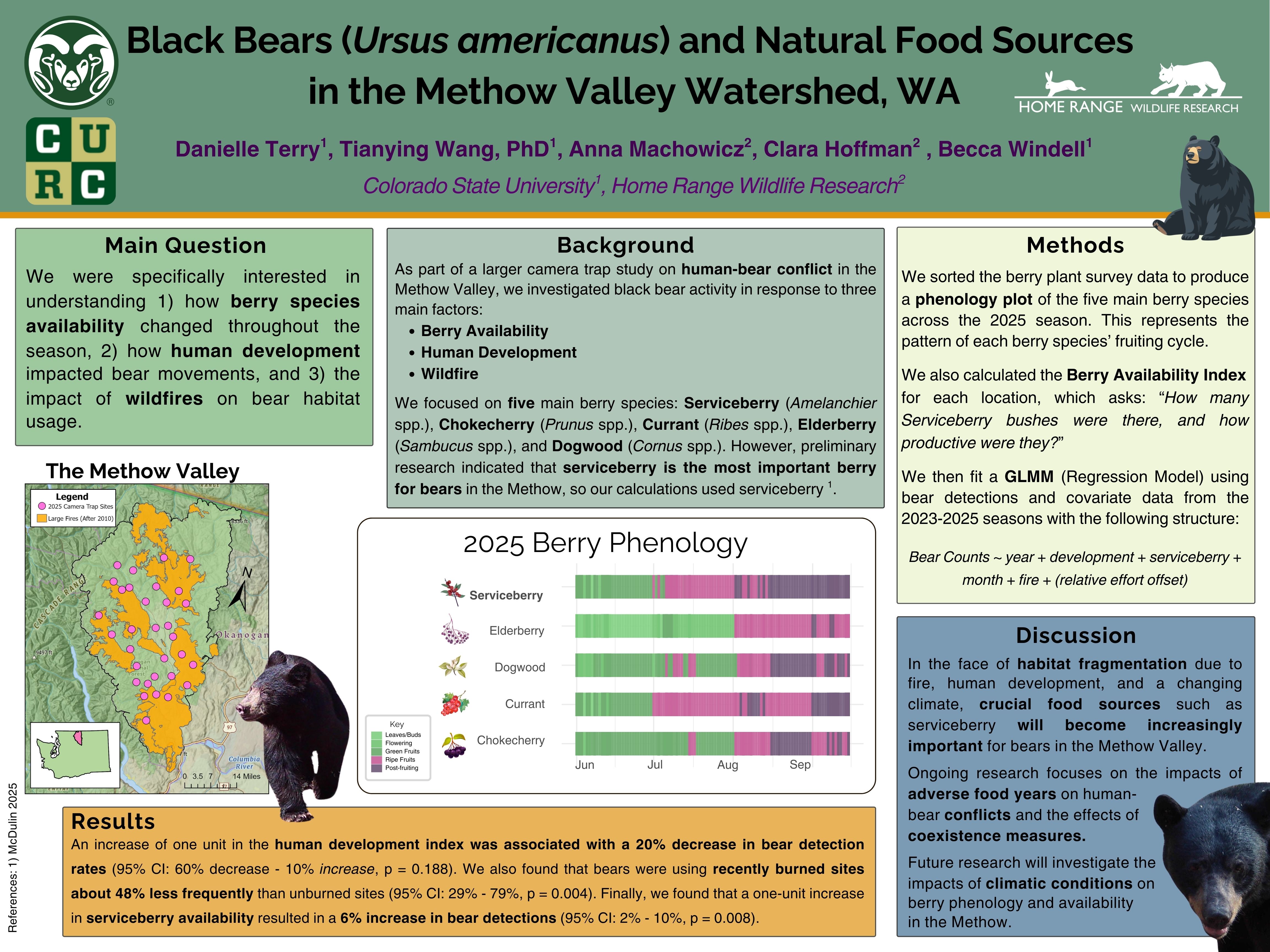 Black Bears (Ursus americanus) and Natural Food Sources in the Methow Valley Watershed, Washington.