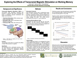 "Exploring the effects of Transcranial Magnetic Stimulation on Working Memory"