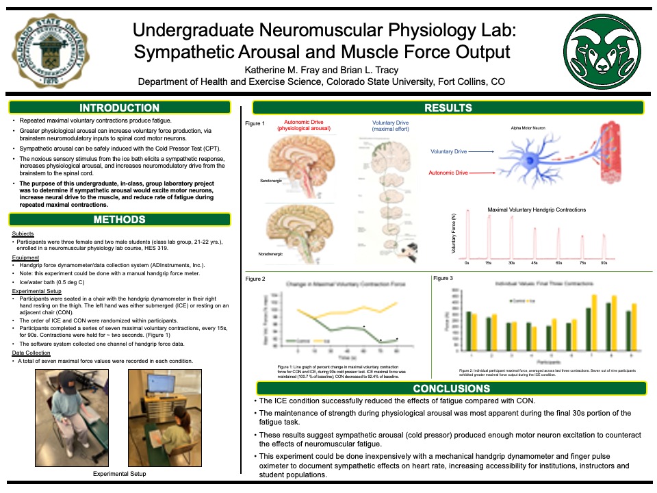 Undergraduate neuromuscular physiology lab course project: Sympathetic arousal and muscle force output
