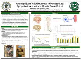 Undergraduate neuromuscular physiology lab course project: Sympathetic arousal and muscle force output