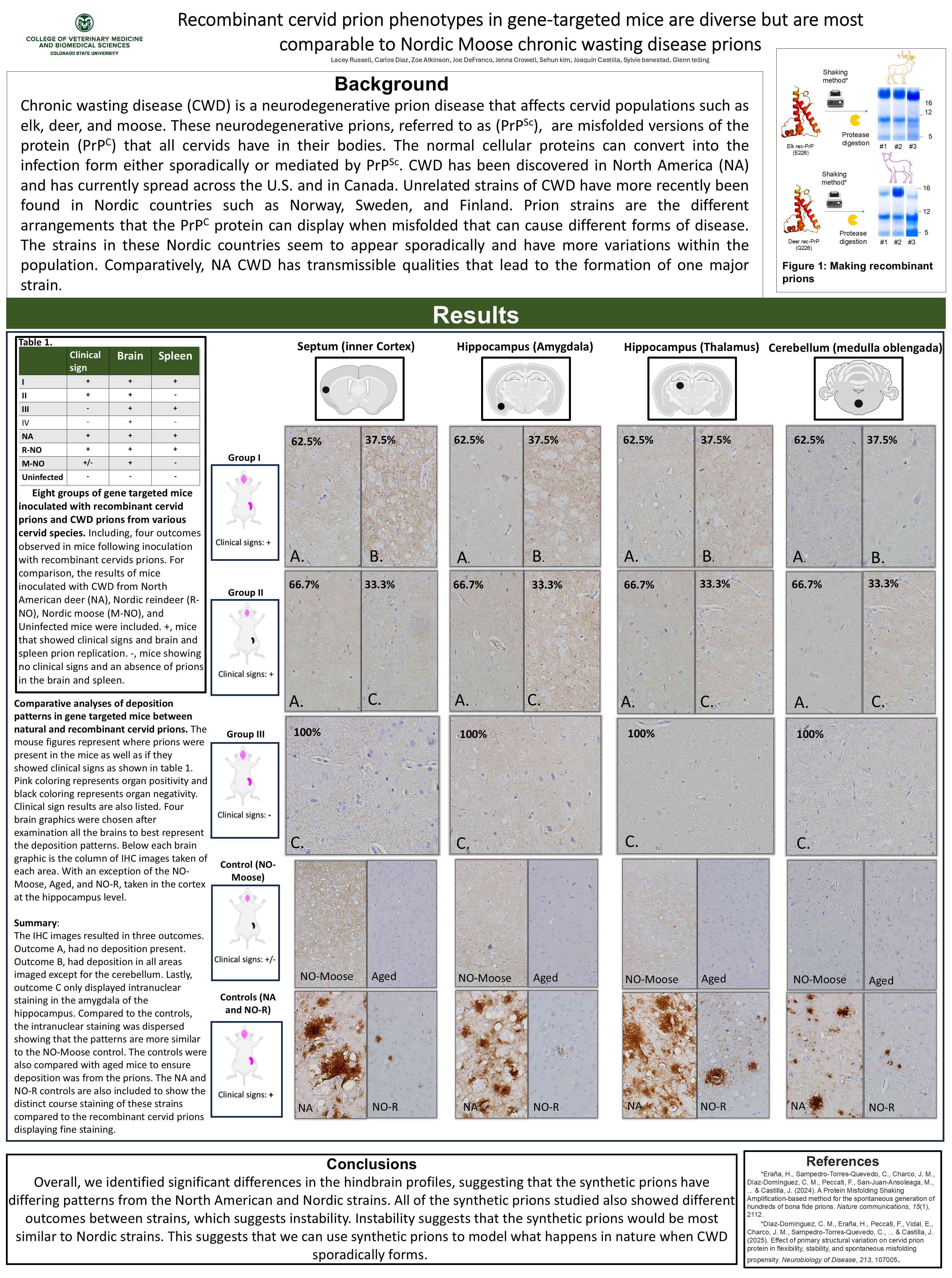Comparative study of chronic wasting disease using natural and synthetic prions 